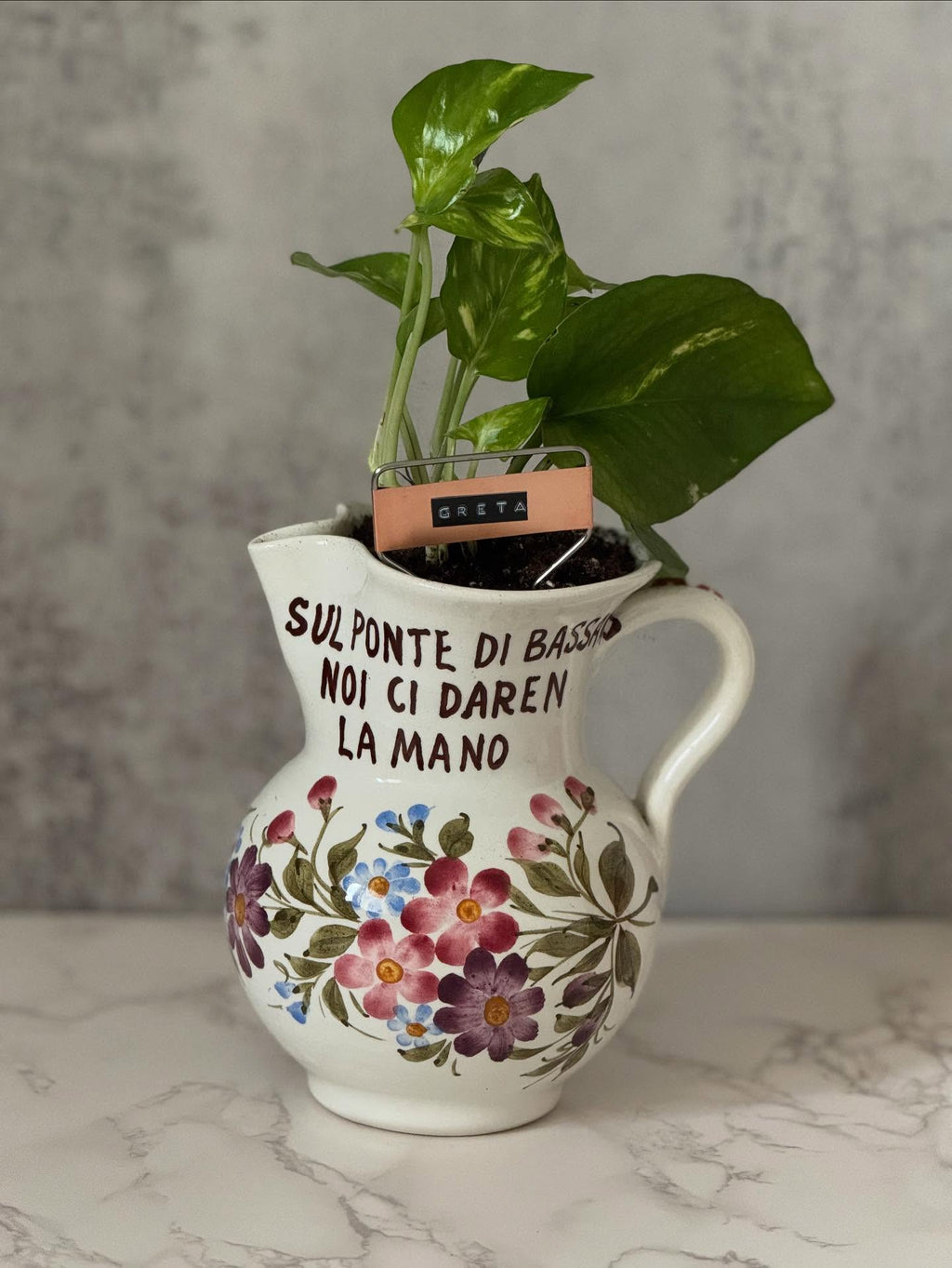 $35 Plant in Vintage Teapot or Other Larger Vessel