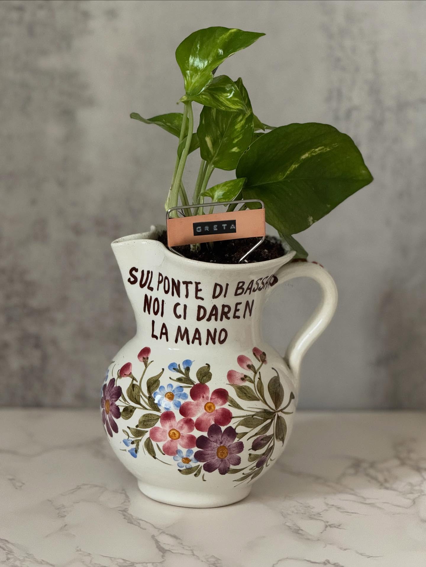 $35 Plant in Vintage Teapot or Other Larger Vessel