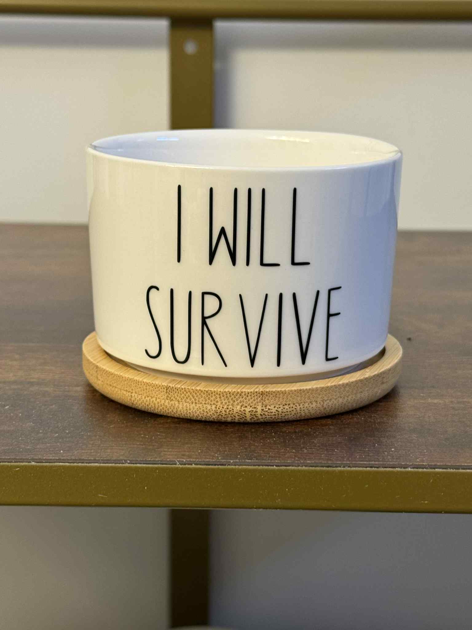 I Will Survive - White Ceramic Plant Pot