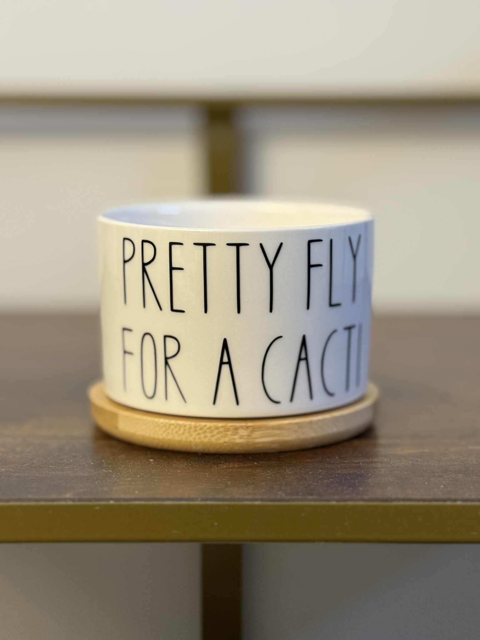 Pretty Fly For A Cacti - White Ceramic Plant Pot