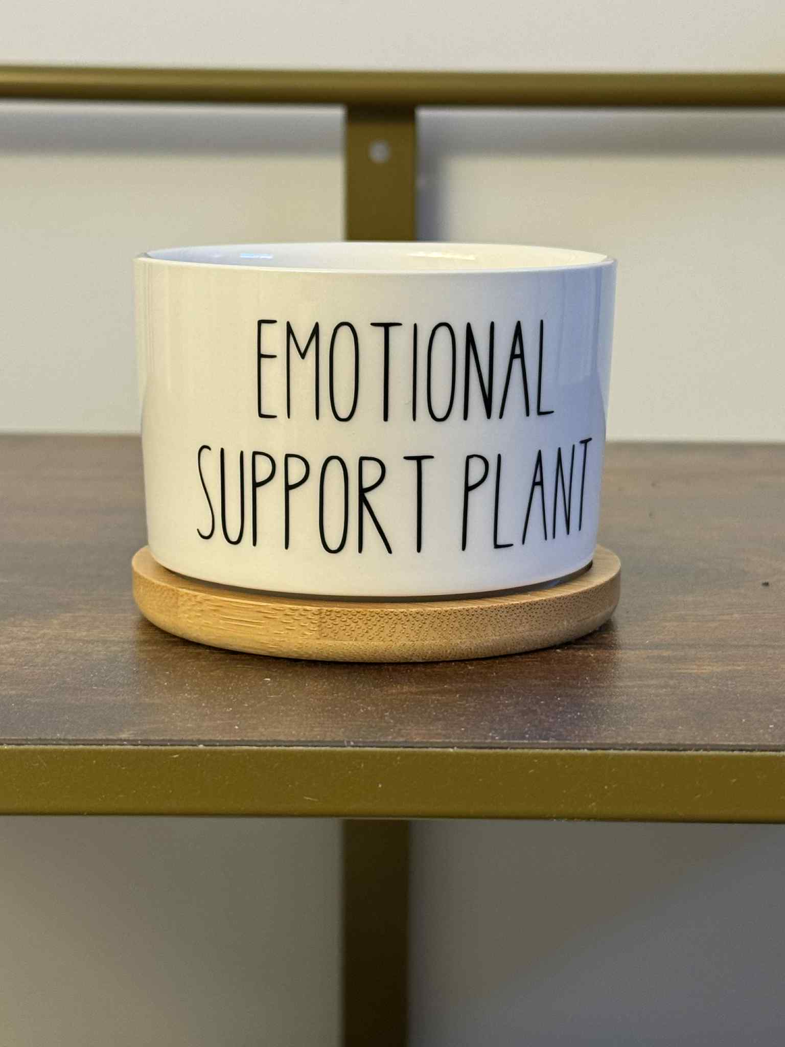 Emotional Support Plant - White Ceramic Plant Pot